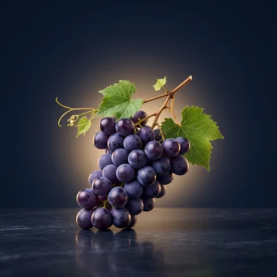 PhytoCellTec™ Vitis Vinifera