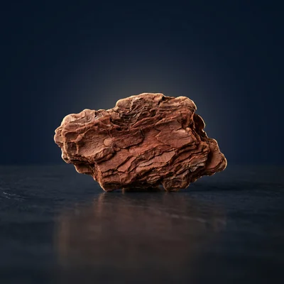 Pycnogenol® (экстракт коры сосны)
